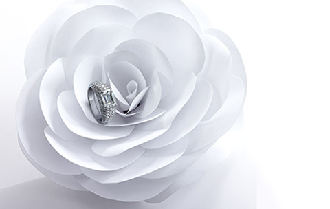 深圳品牌vi設(shè)計(jì)